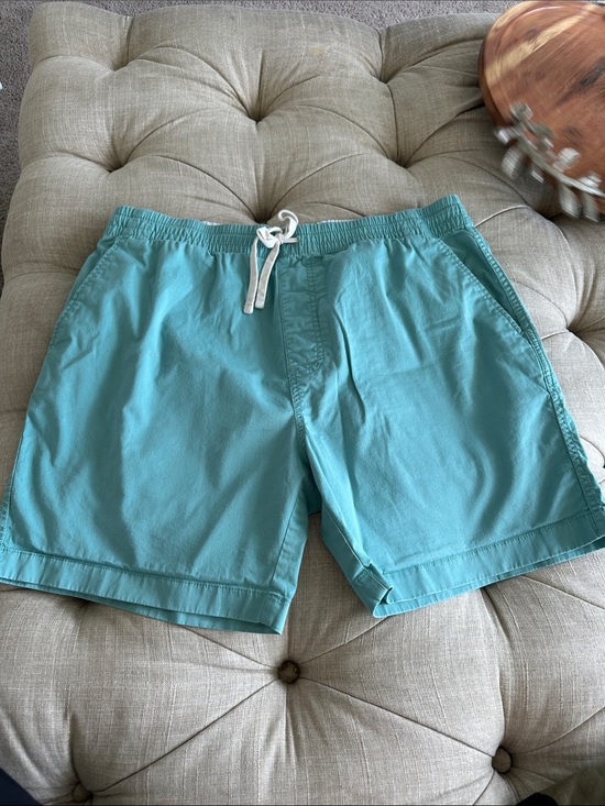J. Crew Other - J. Crew Men's Aqua Drawcord Swim Trunks